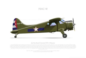 DHC DHC-2 BEAVER FEAC-18 CUBA 1958 - A3+ Profile Print - Picture 1 of 4