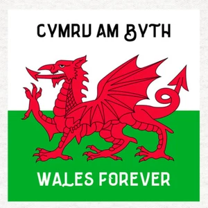 Bandera de Gales-Cymru am byth - Paneles artesanales de tela 100% algodón o poliéster - Imagen 1 de 1