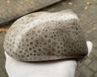 Large Petoskey Stone, About 75% Is Highly Polished, 2 Lbs., 11 oz.