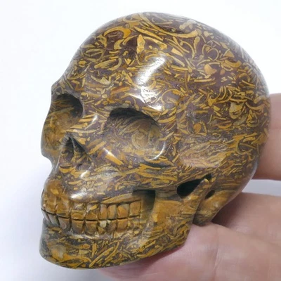 TOP!  Elefantenhaut Fossilien Kristallschädel ca. 52mm SKULL 07 Miriam-Stein - Bild 1 von 2
