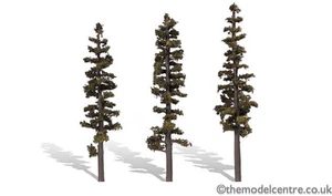 TR3563 Woodland Scenics Standing Timber 3 Pack 7" - 8" Ready Made Trees TMC - Picture 1 of 1