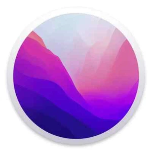 macOS Monterey download tools. Make your own flash drive or ISO installer. - Picture 1 of 4