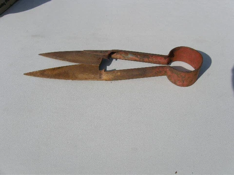 Antique Garden Shears 12 1/2 Inch Used with Original Patina FREE ShipN 48 State Cover