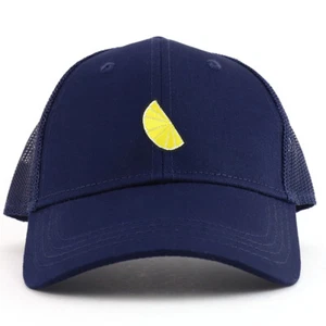 Lemon Patch Youth Size Cotton Twill 6 Panel Mesh Baseball Cap- FREE SHIPPING - Picture 1 of 22