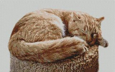 SUSANMOWER Ginger Cat Kitten Sleeping Counted Cross Stitch Kit 11" x 7"