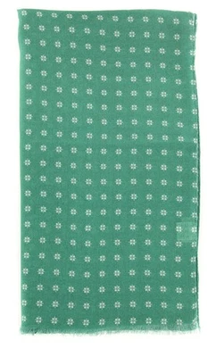 Luigi Borrelli Bufanda Larga Foulard Verde - 26" x 76" - (FI1202514) Foto 1 de 4