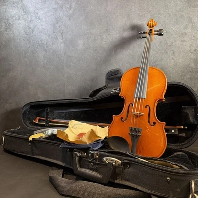 Eastman SVL80 1/4 Size Violin Set for Kids with Case Bow Rosin Shoulder Rest - Image 1 of 4