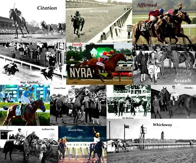 Cobertor All Triple Crown Winners 50x60 lã de pelúcia 13 fotos secretariado e mais - Imagem 1 de 4