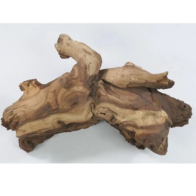 Mopani Wurzel Größe "S" 10-20cm Holz für Aquarium Terrarium Reptilien HardScape