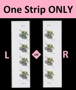 US 5652 Blueberries 4c plate strip 4 MNH 2022 - Picture 1 of 1