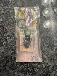 Portachiavi vintage giapponese serie insetti cervo scarabeo resina genere Dorcus - Foto 1 di 2