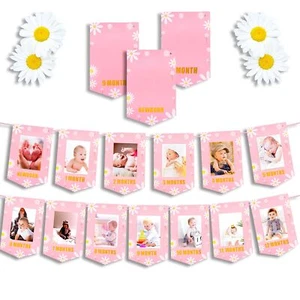 Daisy 1st Birthday Party Decoration Daisy 12 Months Photo Banner One Groovy B... - Picture 1 of 7