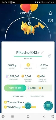 Pokémon Pikachu ( Okinawa Flying ) GO - Image 1 of 2