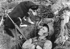 US Marine chats with his Scouting Dog Guam 1944 WW2 Re-Print 4x6