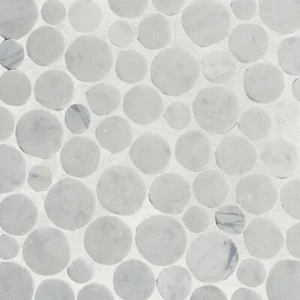 Penny Carrara Mosaic Wall & Floor Tile ($14.73/SqFt) - Picture 1 of 9