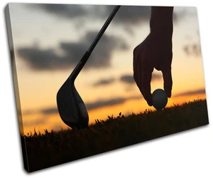 Golf Tee Shot Sports SINGLE LONA pared arte Foto impresion - Imagen 1 de 1
