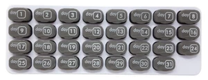 31 Day Monthly Pill Organizer with Daily Removable Pods -Grey-Great for Travel - Picture 1 of 9