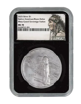 2025 Mesa Grande Native American Bison Dollar 1 oz Silver Coin NGC MS70 FR - Image 1 of 2