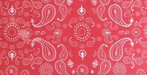 1x 'RED Paisley' Head/Face/Mask/Neck Multi-wear tube Bandana/Durag.Wrap. 117 - Bild 1 von 1