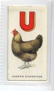 (Jf8221) OGDENS,POULTRY ALPHABET,UTILITY,1924,#21