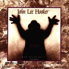 The Healer von Hooker,John Lee | CD | Zustand gut - Bild 1 von 1