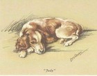 Welsh Springer Spaniel Puppy - CUSTOM MATTED - Dog Art Print - Lucy Dawson