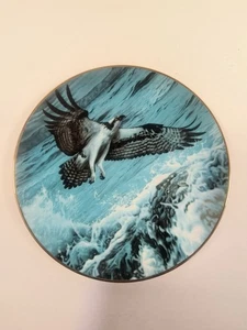 ABOVE THE BREAKERS Plate Winged Reflections R.S. Parker Hamilton Collection  - Picture 1 of 14