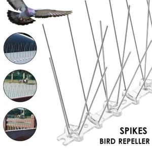 Taubenabwehr Spikes Edelstahl 2-reihig Vogelschutz Vogelschreck 5 10 20 Meter - Bild 1 von 23
