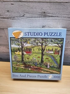 1000 BITS AND PIECES STUDIO PUZZLE - LOST KITE - NIB - Picture 1 of 3