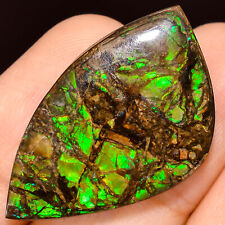 24.50Cts. Natural Play Of Multi Fire Ammolite Fancy Cabochon Loose Gemstone
