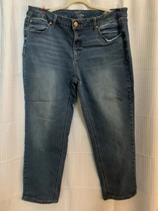 Time And Tru Womens 22 Plus Straight Blue Jeans - Picture 1 of 7