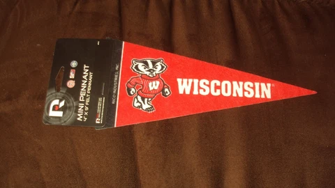 Wisconsin Badgers Felt Pennant Office Cubicle Dorm Room Size Cover