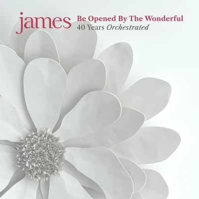 James Be Opened By the Wonderful: 40 Years Orchestrated (Vinyl) - Image 1 of 2