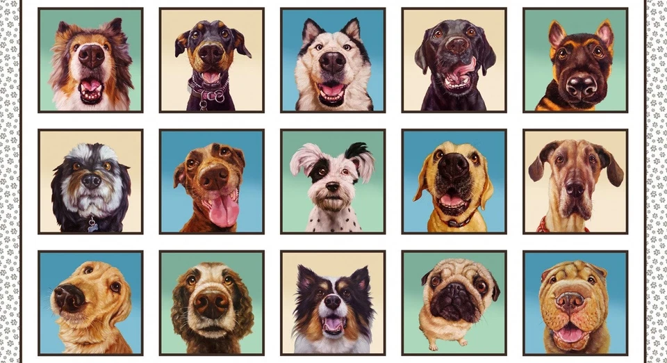 Elizabeth's Studio Follow Your Nose 41002 White   Panel Cotton - Image 1 of 1