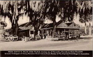 PALMETTO, FLORIDA - MOTEL DE CARRETERA CON VISTA A PALMA LUGAR - POSTAL ANTIGUA - Imagen 1 de 2