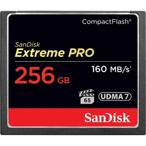 Sandisk Extreme Pro 256Gb Compactflash Memory Card - Picture 1 of 1