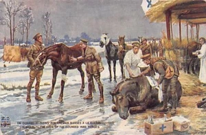 United Kingdon - BRITISH ARMY - Blue Cross - The care of the wounded war horses - Picture 1 of 2