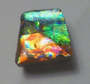 Multi Colors AMMOLITE GEM! Gemstone Amazing Colors! 25x22mm - Picture 1 of 5