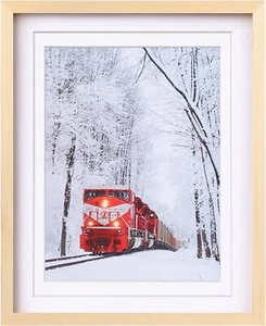 16x20 Poster Frame Solid Wood Frame With Plexiglass Matted For 11x14/12x16 - Picture 1 of 7