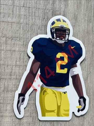 Charles Woodson #2 MAGNET - Green Bay Packers Die Cut Vinyl NFL Vector art Cover