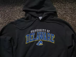 Sudadera con capucha Delaware Fightin' Blue Hens para hombre campeón mediano UDEL NCAA - Imagen 1 de 4