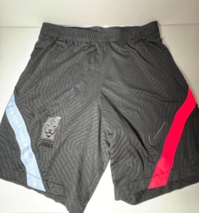 Nike Korean national football team soccer shorts black medium - Picture 1 of 5