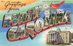 NORTH CAROLINA NC GRANDE LETTERA CARTOLINA LINO 1961 041525 U - Foto 1 di 2