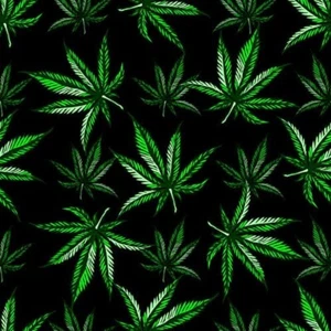 Weed Leaf 1/4 Sheet Edible Cake Image Frosting Topper Birthday Party - Picture 1 of 1