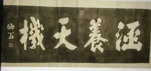 One Chinese Calligraphy??? N - Picture 1 of 6