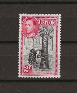 CEYLON 1938/49 SG 386 MINT - Picture 1 of 2