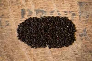 Malta de cebada tostada triturada Maltmaster elige tu talla - Imagen 1 de 1