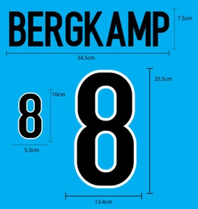 NETHERLANDS Home World Cup 1998 PU NAME NUMBERING PRINT EXCELLENT QUALITY - Picture 1 of 10