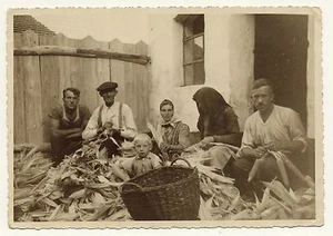 THE CORNHUSKERS: EASTERN EUROPEAN FAMILY HUSKS CORN TOGETHER  (VINTAGE RPPC) - Picture 1 of 2