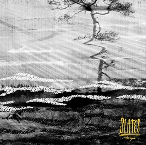 Schiefer - Tiaga (2014) CD NEU/VERSIEGELT SPEEDYPOST - Bild 1 von 1